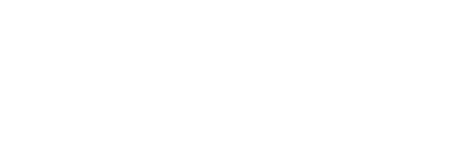 SBFM Logo white